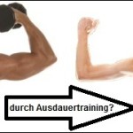 Muskelabbau durch Ausdauertraining beim Muskelaufbau?