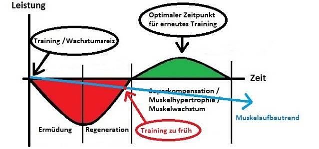 Training zu frueh © MoreMuscles.de