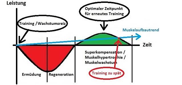 Training zu spaet © MoreMuscles.de