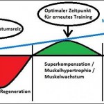 optimale Trainingshaeufigkeit © MoreMuscles.de