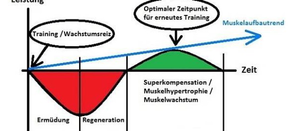 optimale Trainingshaeufigkeit © MoreMuscles.de