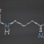 L-Citrullin (Malat): Was ist das? Wirkung? Nebenwirkungen? Dosierung?