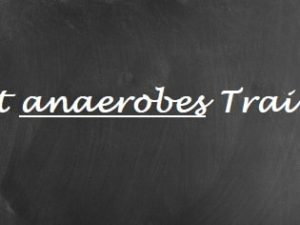 Anaerobes Training