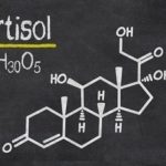 Was ist Cortisol? Welche Auswirkung auf Muskelaufbau hat es?