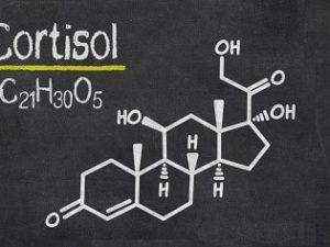 Cortisol