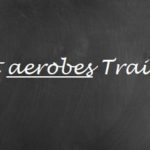 Was ist Aerobes Training und wozu ist es gut?