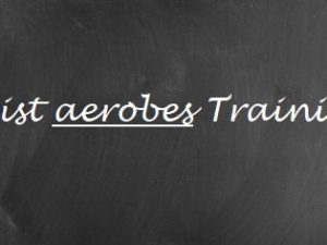 Aerobes Training